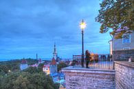 Uitzicht vanaf de kathedraalheuvel op de benedenstad, de oude stad met de Olai-kerk of Oleviste Kiri van Torsten Krüger thumbnail