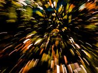 EVEIL DU PRINTEMPS # 50