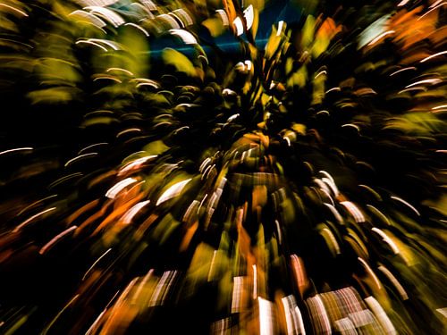 EVEIL DU PRINTEMPS # 50