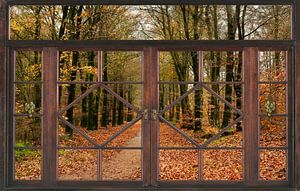 Herbst-Ansicht