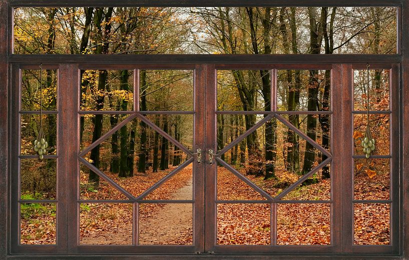 Herbst-Ansicht von Carla van Zomeren