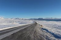 Een weg in Ijsland 