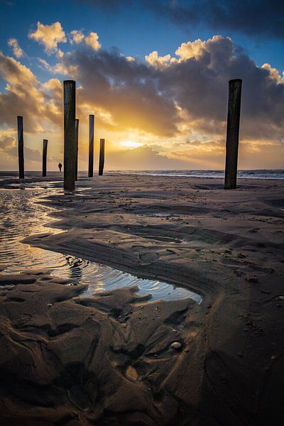 Palendorp Petten van Lisa Antoinette Photography