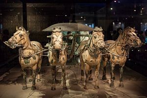 Het Terracottaleger van Xian in China