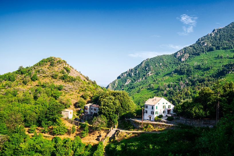 Huis in Corsicaanse bergen van Youri Mahieu