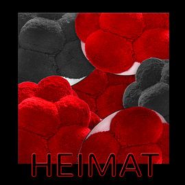 Black Forest Bollenhüte 5.0 Home by Ingo Laue