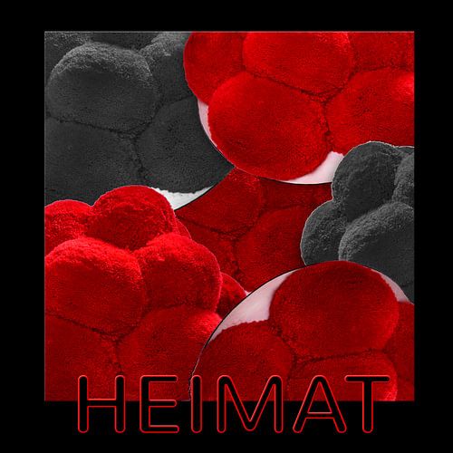 Zwarte Woud Bollenhüte 5.0 Home