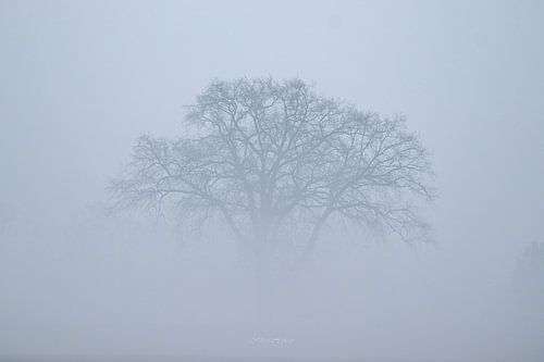 De Mist