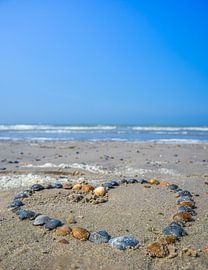 Herz aus Muscheln am Strand am Meer