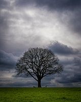 lonely and strong