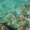 Eau bleue turquoise sur la côte méditerranéenne sur Adriana Mueller