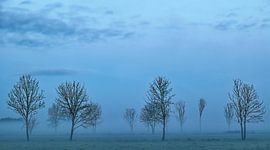 Blue hour in the morning by Guus Rameckers