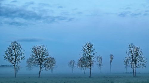 L'heure bleue du matin