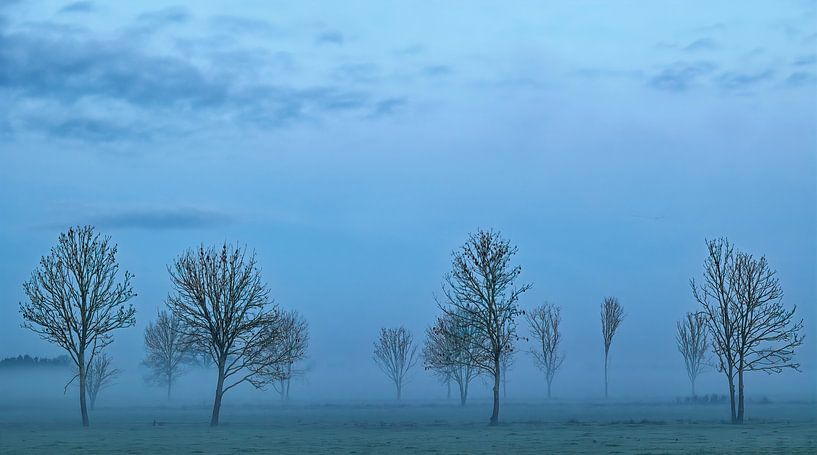 Blaue Stunde am Morgen von Guus Rameckers