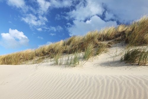 Duinlandschap aan de noordzee op Texel