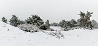 Panorama - Winter Wonderland van William Mevissen thumbnail