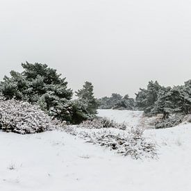 Panorama - Winter Wonderland van William Mevissen