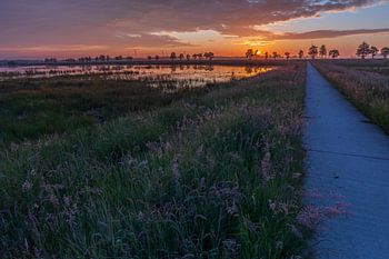 Drenthe zonsopgang, met fietspad