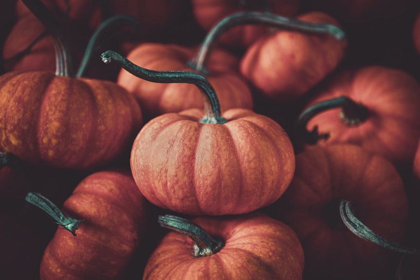 Autumn Vibes by Hello Pompoyo