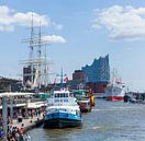Blick von den Landungsbrücken auf Elbphilharmonie mit Ausflugsboot, Hamburg, Deutschland von Torsten Krüger Miniaturansicht