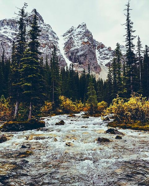 rapides de montagne par Maria Blair