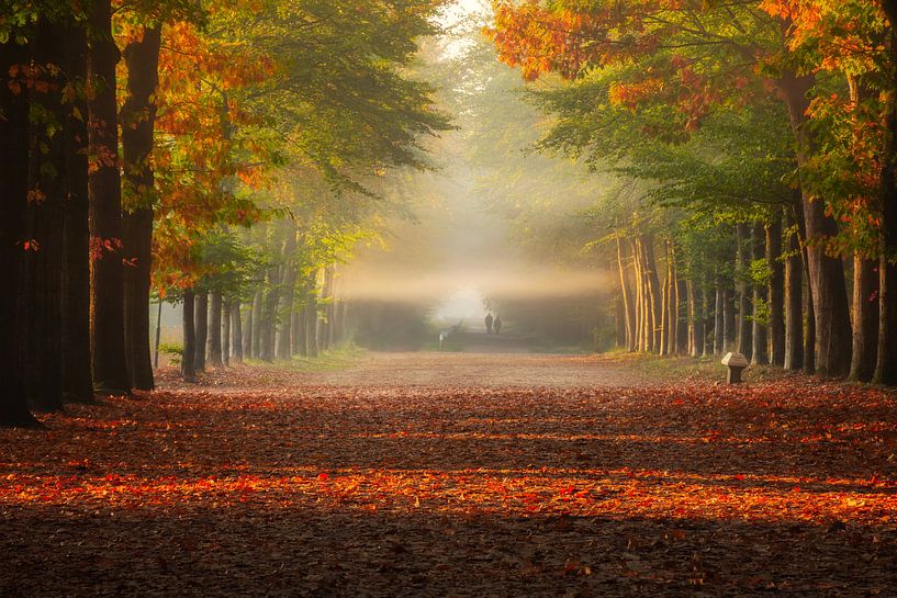 Horizontale Strahlen des Herbstes von Fabrizio Micciche