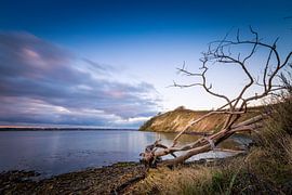 Holnis Kliff im Abendlicht von Matthias Nolde