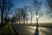 Winters zonnetje