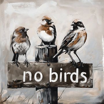 Pas d'oiseaux