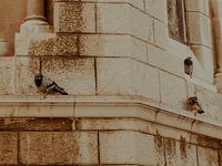 Living on the Edge | Travel Photography Art Print in the Principality of Monaco | Cote d’Azur, South of France