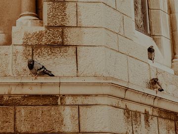 Living on the Edge | Travel Photography Art Print in the Principality of Monaco | Cote d’Azur, South of France van ByMinouque