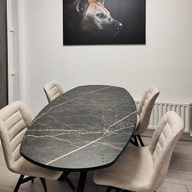 Customer photo: Hyena Portrait Black Background by Digitale Schilderijen, on canvas