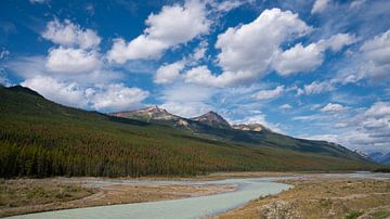 Rivière Athabasca, Parc national de Jasper, Montagnes Rocheuses, Alberta, Canada sur Alexander Ludwig