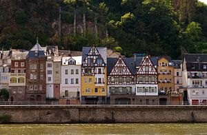 Blick über die Mosel