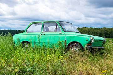 Groene Daf personenauto in een Zomers weideveld