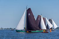 Skûtsje sailing Friesland