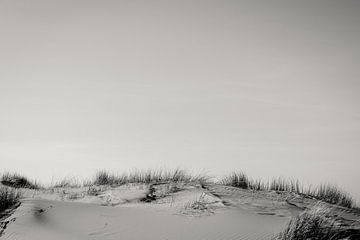 Dunes in black and white by Lydia