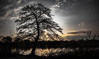 Silhouet