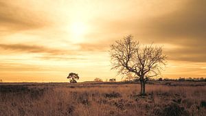 Engbertsdijkvenen, Natur in Overijssel