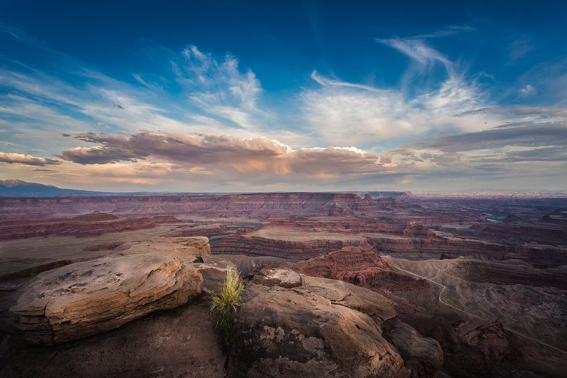 Dead horse Point State Park by Harold van den Hurk