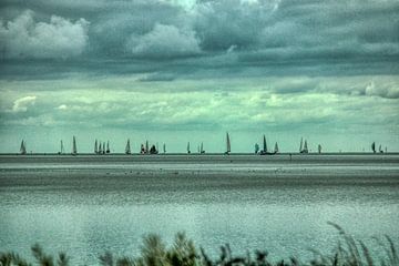 De wind als gids van Patrick Teeling