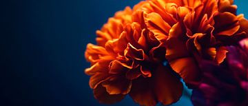 Lichtgevende bloemenpracht