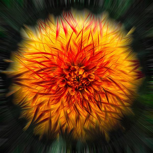 Dahlien in fröhlichen Formen von Greetje van Son