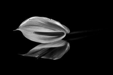 La fleur sur le miroir en noir et blanc sur Ronald van Kooten
