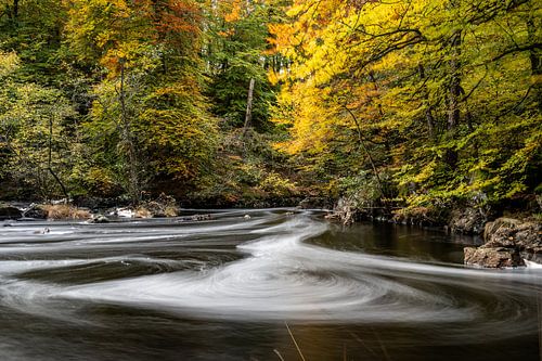 Danska Fallet: De Betovering van Herfst in de Bossen II