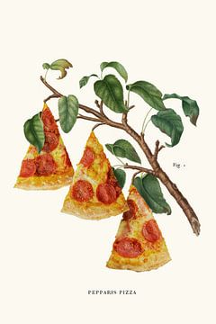 Pizza Plant by Jonas Loose