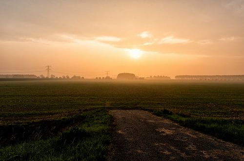 Polder près de Zuidland