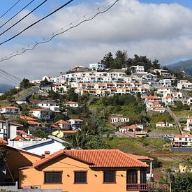 Houses in Madeira by Matthias Spartz