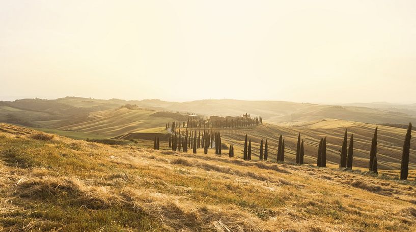 Wunderschöne toskanische Landschaft mit dem berühmten Landhaus und die von Zypressen umgebene Landst von Besa Art