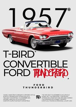 Ford Thunderbird by Ali Firdaus